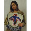 501st Airborne Infantry Regiment Metal Sign 16 x 14"