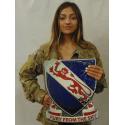 508th Airborne Parachute Infantry Regiment (Fury) Metal Sign  13 x 16"