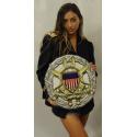 Joint Chiefs of Staff Badge  All Metal Sign  15 x 16" Round