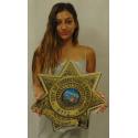 California Department of Corrections and Rehabilitation (Lieutenant)  Badge all 