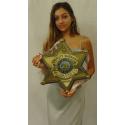 San Juan County New Mexico Sheriff's Department (Deputy) Badge All Metal Sign Wi