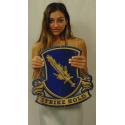 504th Airborne Parachute Infantry Regiment Metal Sign  16 x 16"