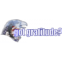 Got Gratitude Eagle Decals