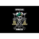 Special Forces Mess With the Best  Die Like the Rest  Decal