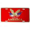 America License Plate