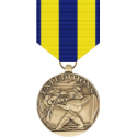 Navy Expeditionary Medal Decal
