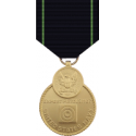 Navy Expert Pistol Medal Decal