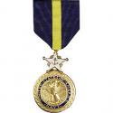 Navy Distinguished Service Medal Full Size