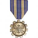 Achievement Medal Full Size