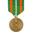 Achievement Medal Full Size