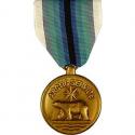 Arctic Service Medal Full Size