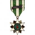 Vietnam Campaign Medal Full Size