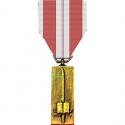 Training Services 1st Class Medal Full Size