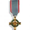 Air Force Cross Mini Medal