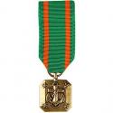 Navy/Marines Achievement Mini Medal