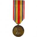 Selected Marine Corps Rsv. Mini Medal