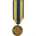 Navy Expeditionary Mini Medal