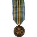 Outstanding Volunteer Service Mini Medal