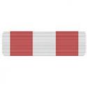 Training Services 2nd Class Ribbon