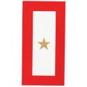 Gold Star 6 x 3 inch Auto Magnet