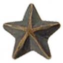 Bronze Single Star