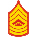 E-8 MSGT Master Sergeant (Gold)  Decal