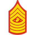 E-9 SGTMAJMC Sergeant Major Marine Corps (Gold) Decal