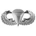 Basic Para Wings Metal Auto Emblem 