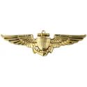 Naval/Marine Aviator Gold Metal Auto Emblem