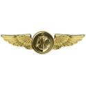 Navy Aircrew Gold Metal Auto Emblem