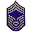 Air Force Chief Master Sergeant of the AF E9 Pin