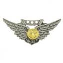 USN Combat Aircrew Pin