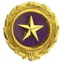 Gold Star Pin
