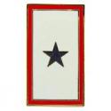 Gold Star Pin