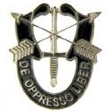 Special Forces Crest Lapel Pin