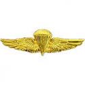 USN USMC Jump Wings Badge
