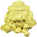 USMC Devil Dog Pin 