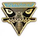 Intruder Pin