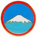 US Army Japan Pin