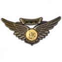 USN Combat Aircrew Pin