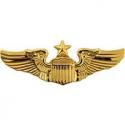 USAF Basic Senior Wings Badge Gold