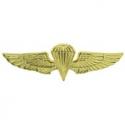 USN USMC Para Wings Badge