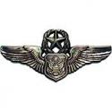Air Force Master Aircrew Wings Badge