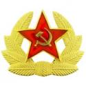 RUSSIA, CAP Hat Badge II 