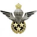 IRAN JUMP Wings Badge