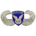 11th Airborne Wing Pin