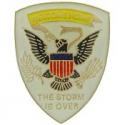 Desert Storm Welcome Home Pin
