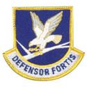 Air Force Defensor Fortis Patch