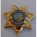 California Department of Corrections State Parole Pin  - 3/4"