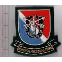 11th Group Special Forces Bullion Pocket Patch 